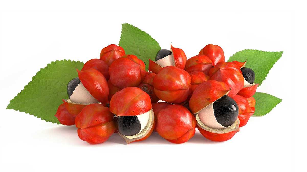 El Guaraná