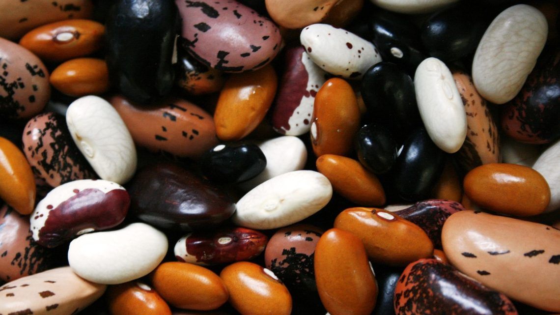 Proteínas vegetales