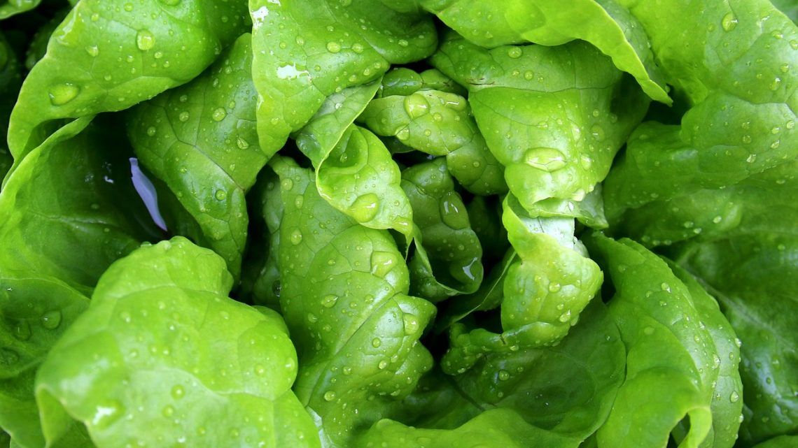 VITAMINA K